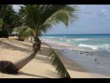 Barbados Feb 2011